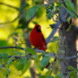 Meet your Posher, Glenna